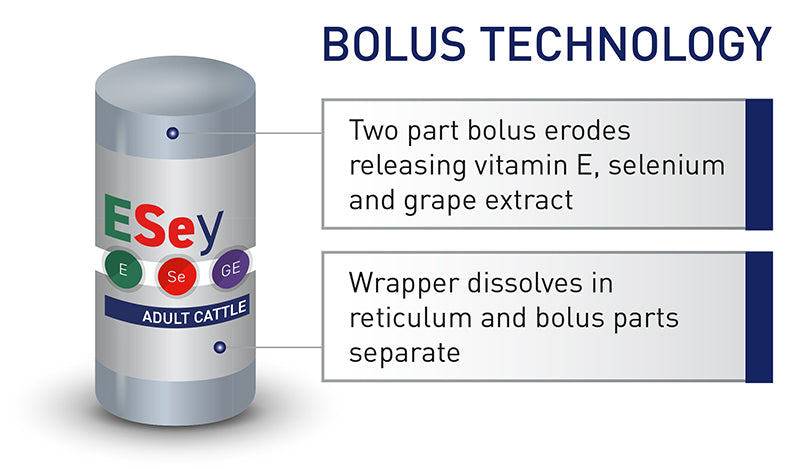 Agrimin ESey Finisher Adult Cattle Bolus