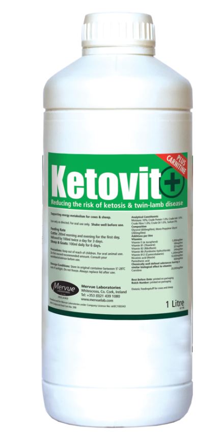 Ketovit + 1L