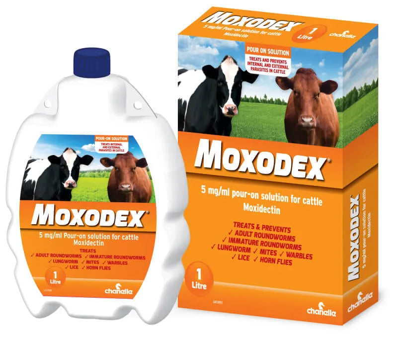 Moxodex 5 mg/ml Pour on solution for cattle