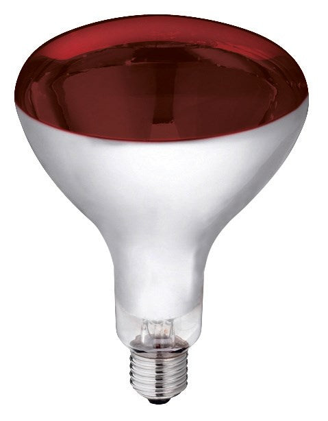 Kerbl Bulb Infra Red Head Lamp 250W Red