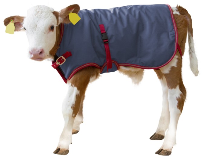 Kerbl ThermoPlus Calf Coat