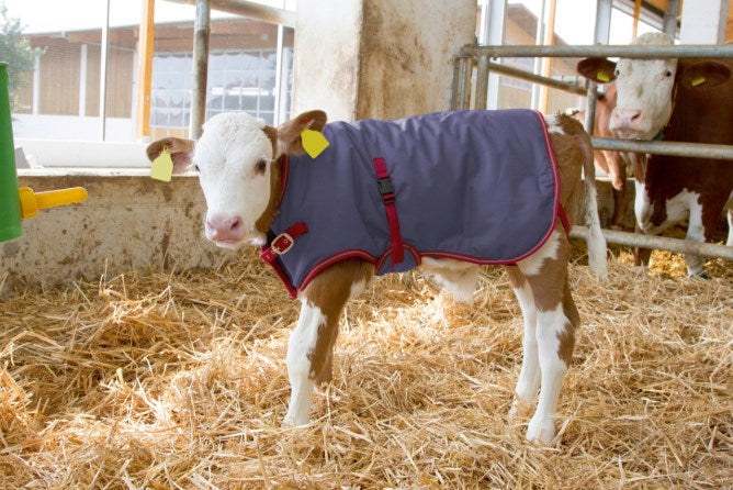 Kerbl ThermoPlus Calf Coat