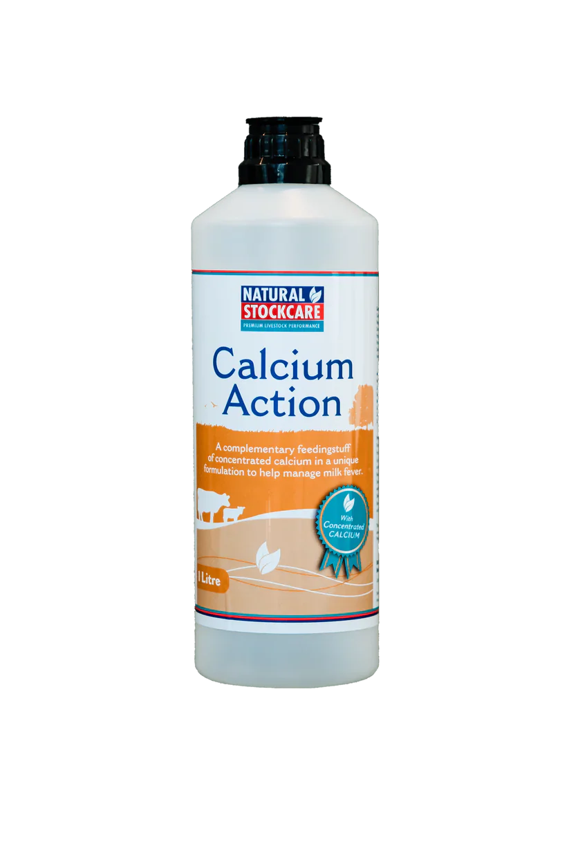 Calcium Action 1L