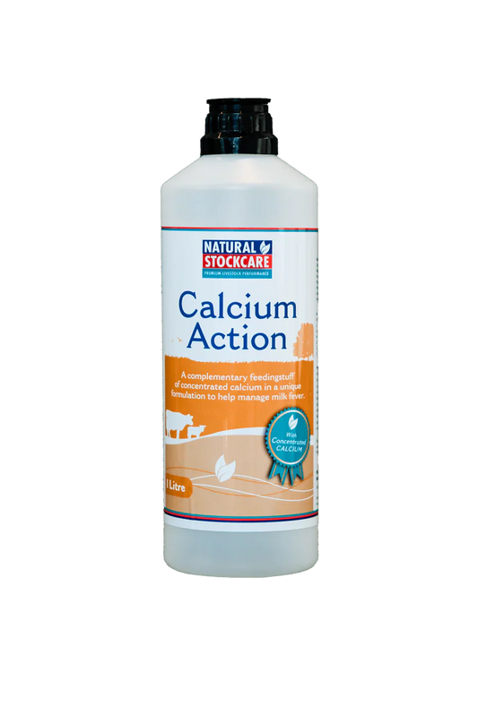 Calcium Action 1L