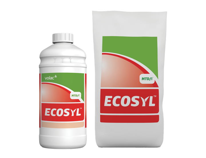 Ecosyl 100