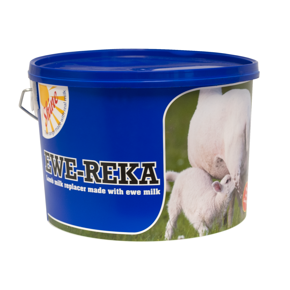 Shine Ewe-Reka 4.5kg