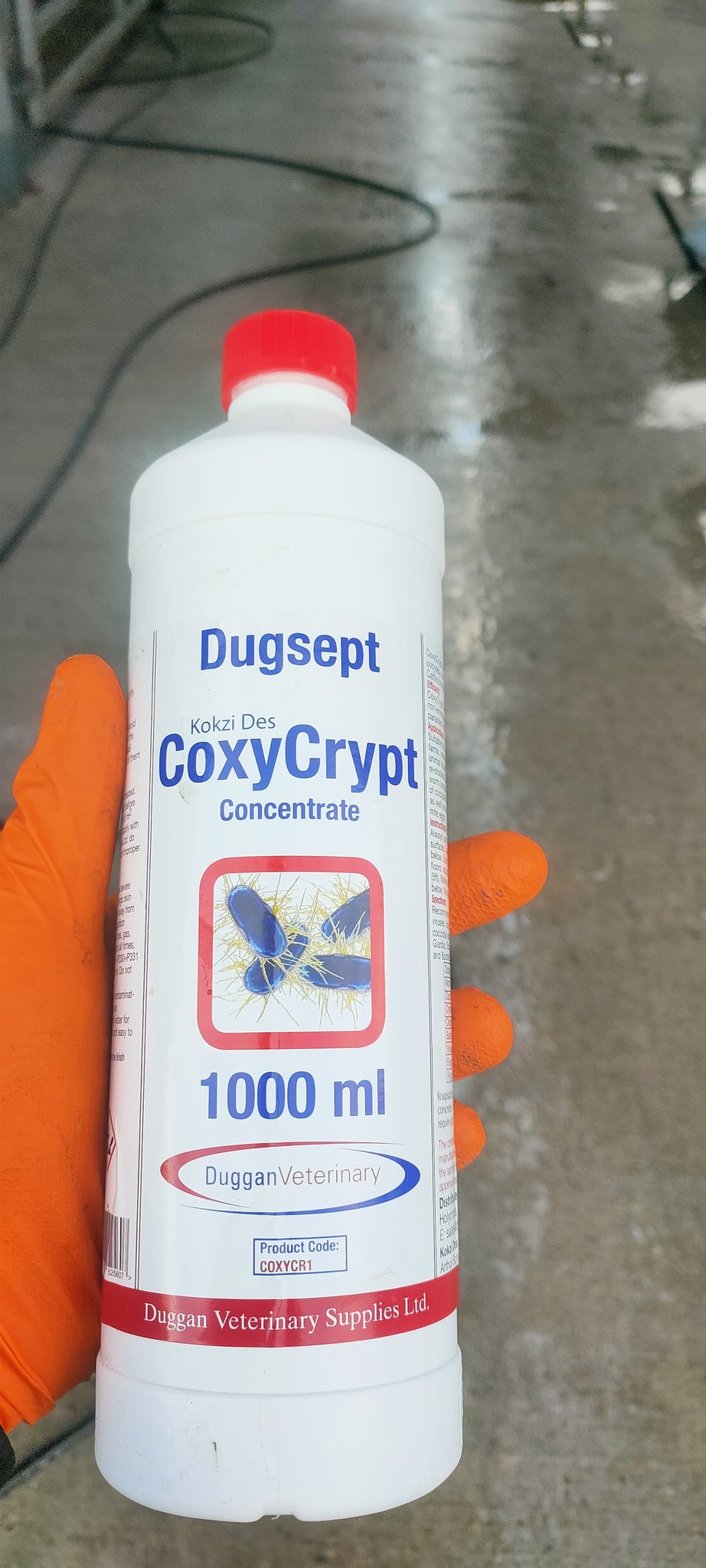 CoxyCrypt Concentrate