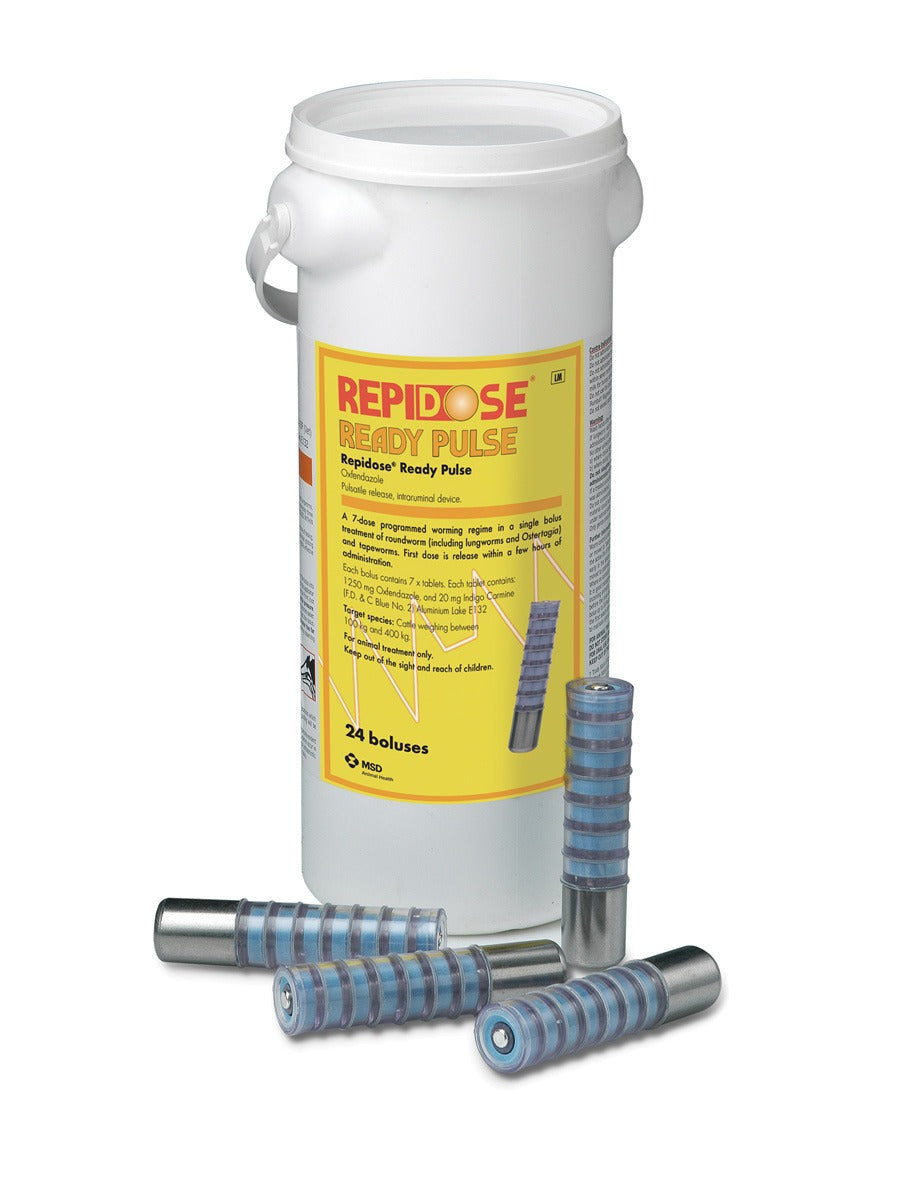 Repidose Ready Pulse Bolus