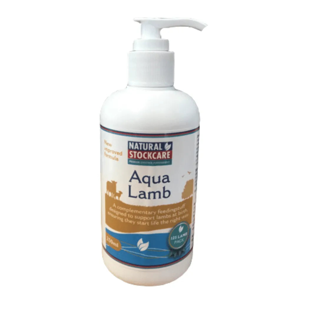 Aqua Lamb