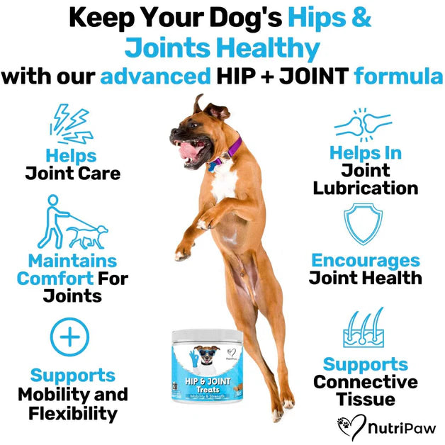 NutriPaw Hip & Joint Treats (120 Pack)