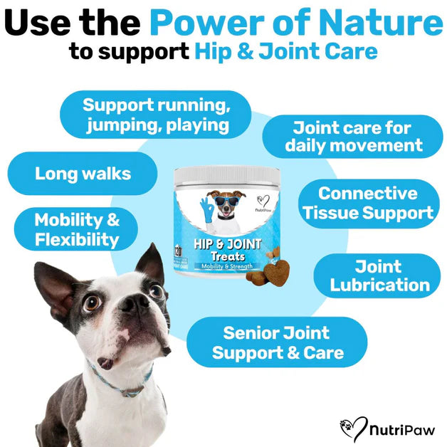 NutriPaw Hip & Joint Treats (120 Pack)