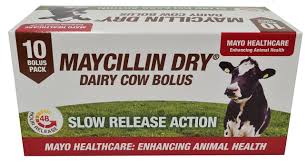 Maycillin Dry Bolus (10 Bolus Pack)