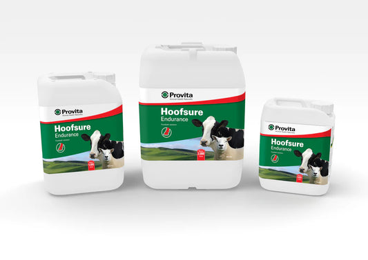 Provita Hoofsure Endurance