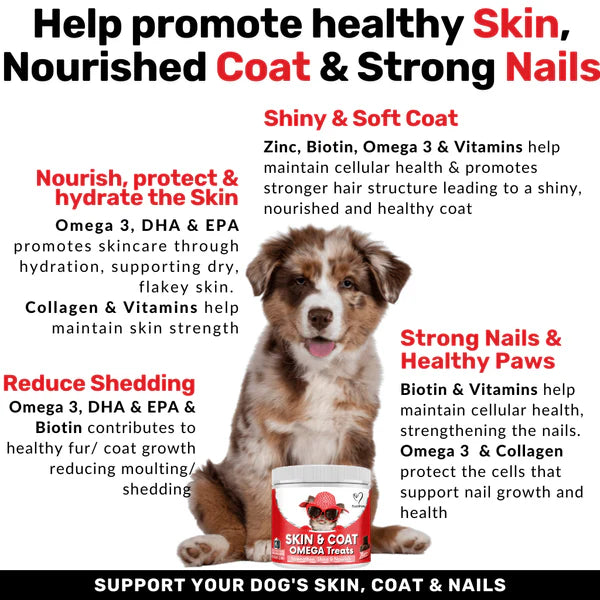 NutriPaw Skin & Coat Omeage Treats (120 Pack)