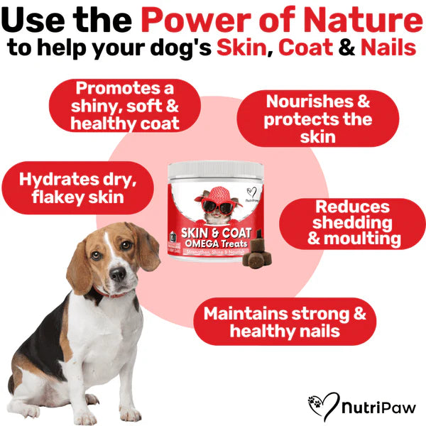NutriPaw Skin & Coat Omeage Treats (120 Pack)