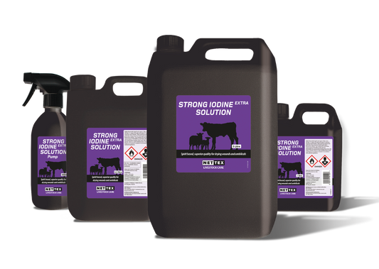 Nettex Strong Iodine Extra Solution 10%