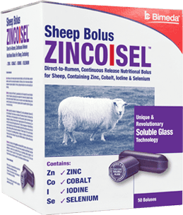 Zincoisel Sheep Bolus