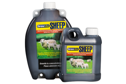 Growvite Sheep