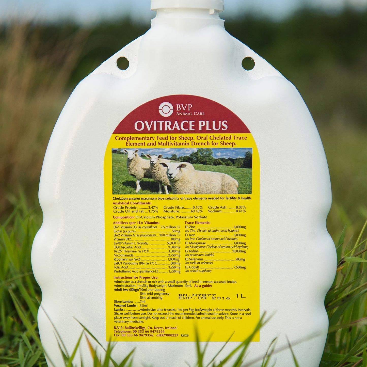 Ovitrace Plus Oral Dose