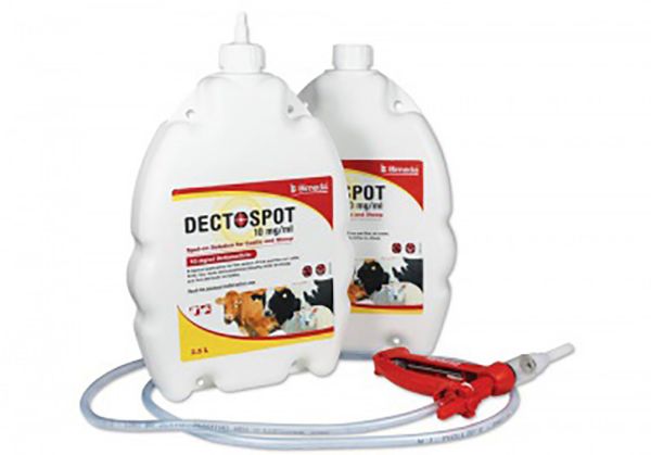 Dectospot 10 mg/ml Spot-on Solution for Cattle and Sheep 2.5L