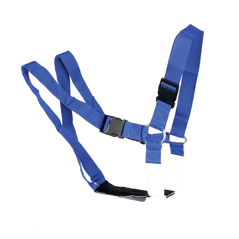 Super Blue Ram Harness