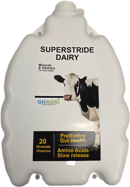 Superstride Dairy 2.5L