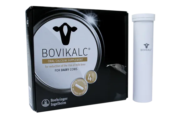 Bovikalc Calcium Bolus