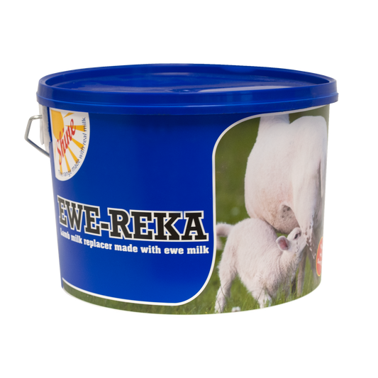 Shine Ewe-Reka 4.5kg