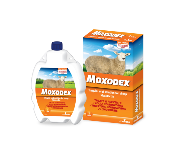 Moxodex 1 mg/ml oral solution for sheep (Cydectin Generic)