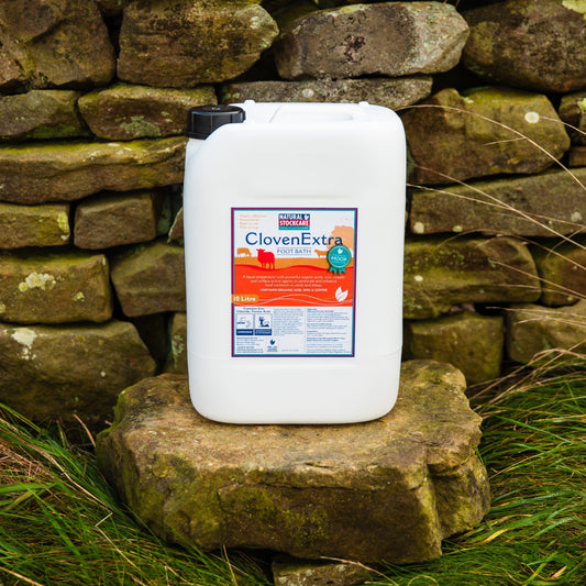 Clovenextra Footbath 10L