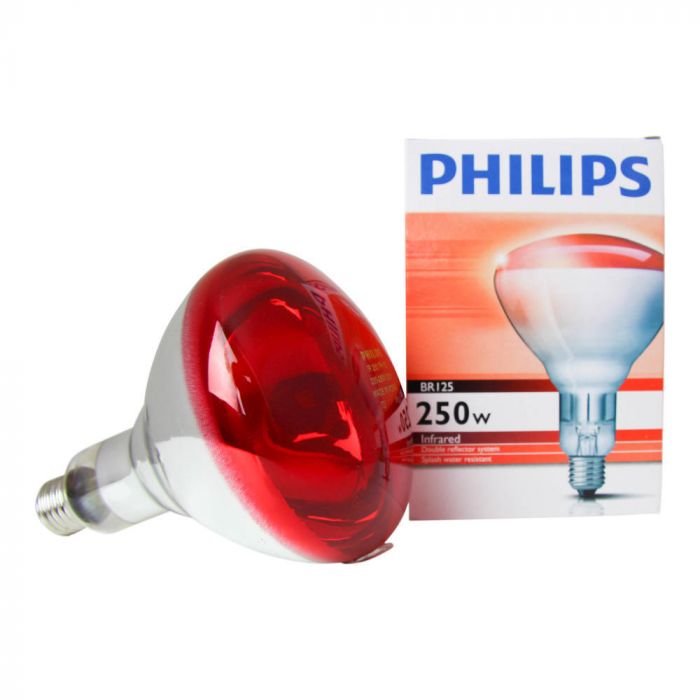 Philips BR125 IR 250W E27 230-250V Red Bulb