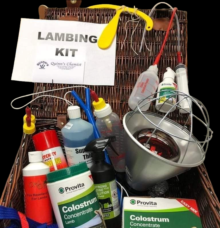 Lambing Christmas Kit