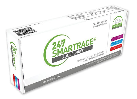 24/7 Smartrace Sheep Boluses (50 Pack)