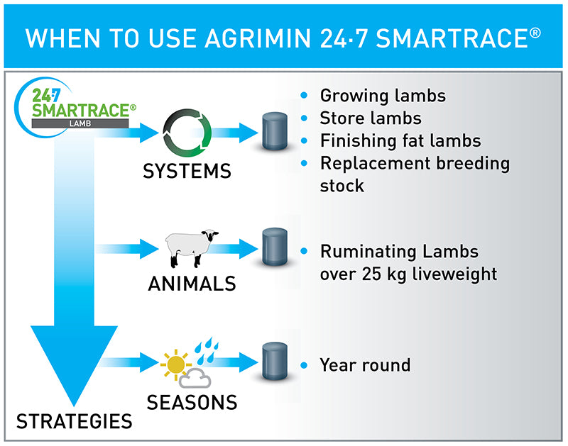 24/7 Smartrace Lamb Boluses