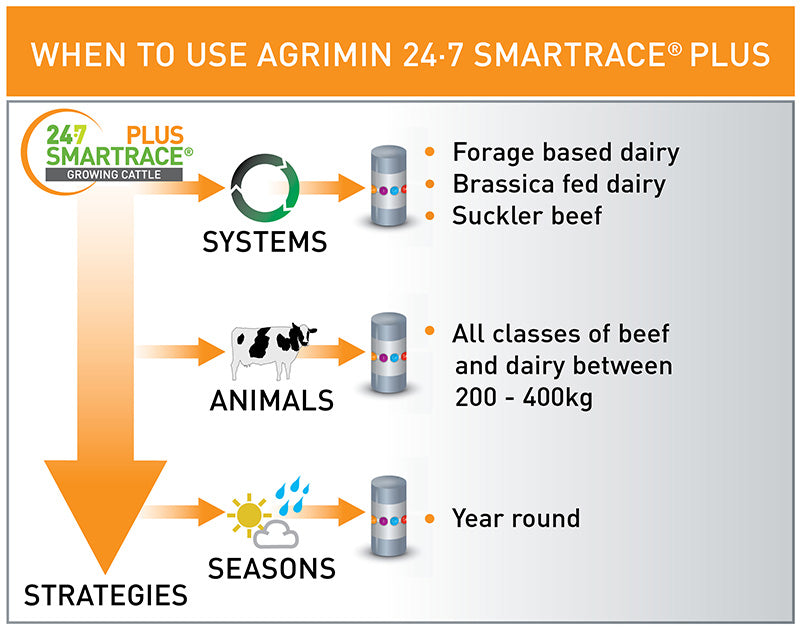 Agrimin 24/7 Smartrace Plus Growing Cattle