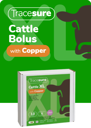 Tracesure Cattle XL with copper (10 applications)