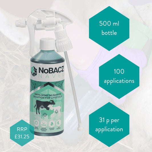 NoBACZ Navel Dip 500ml