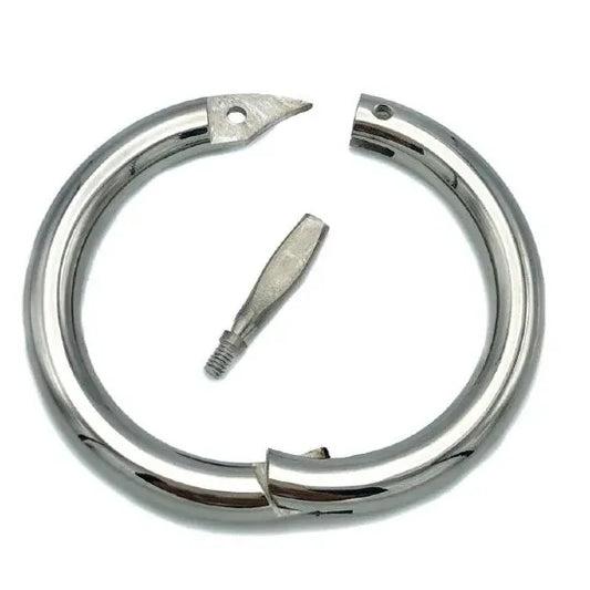 Stainless Steel Bullring 3"