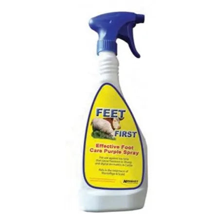 Feet First 500ml