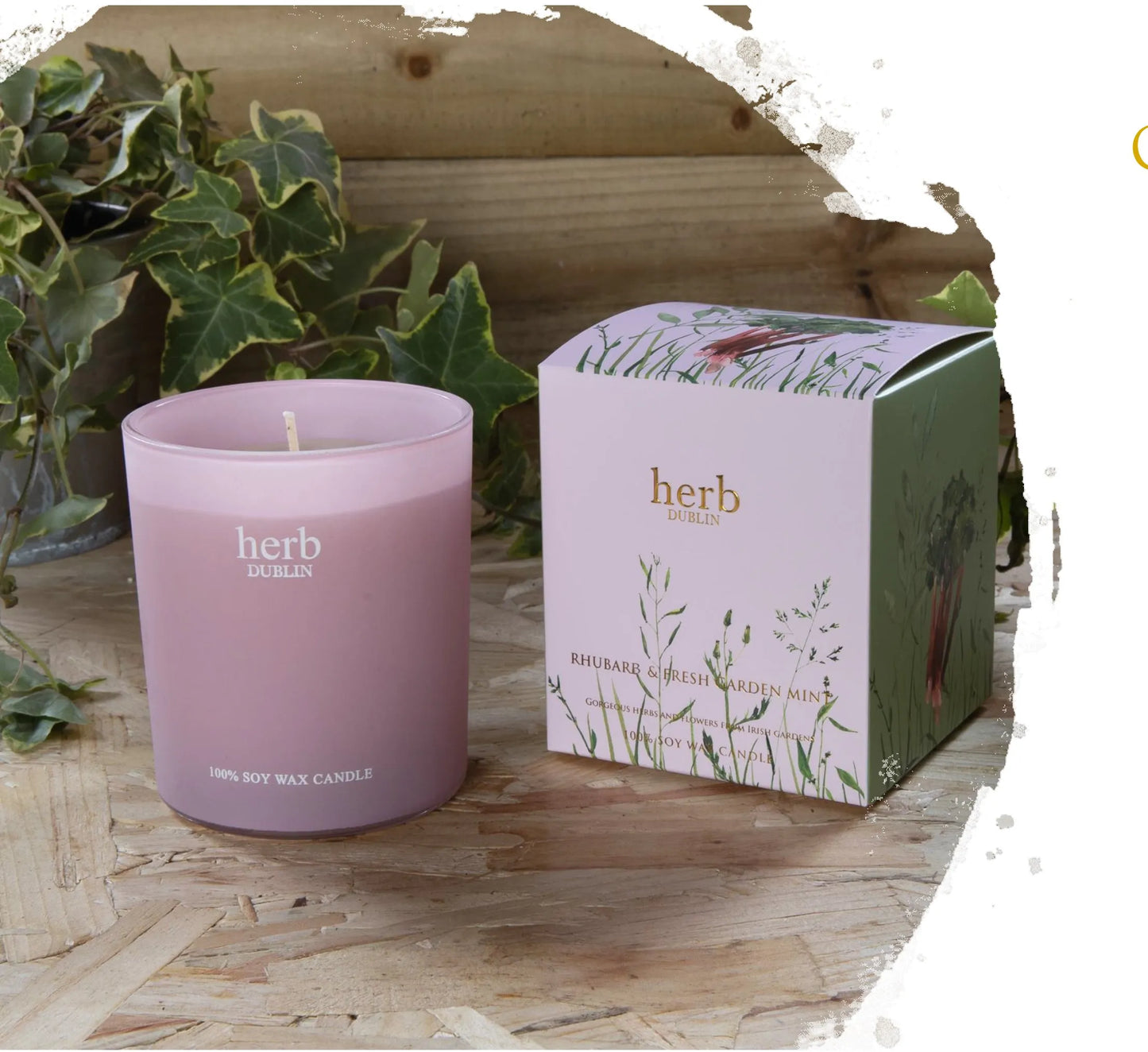 Herb Rhubarb and fresh garden mint- Jar candle