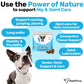 NutriPaw Hip & Joint Treats (120 Pack)