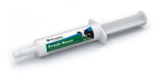 Provita Fresh Boost Syringe