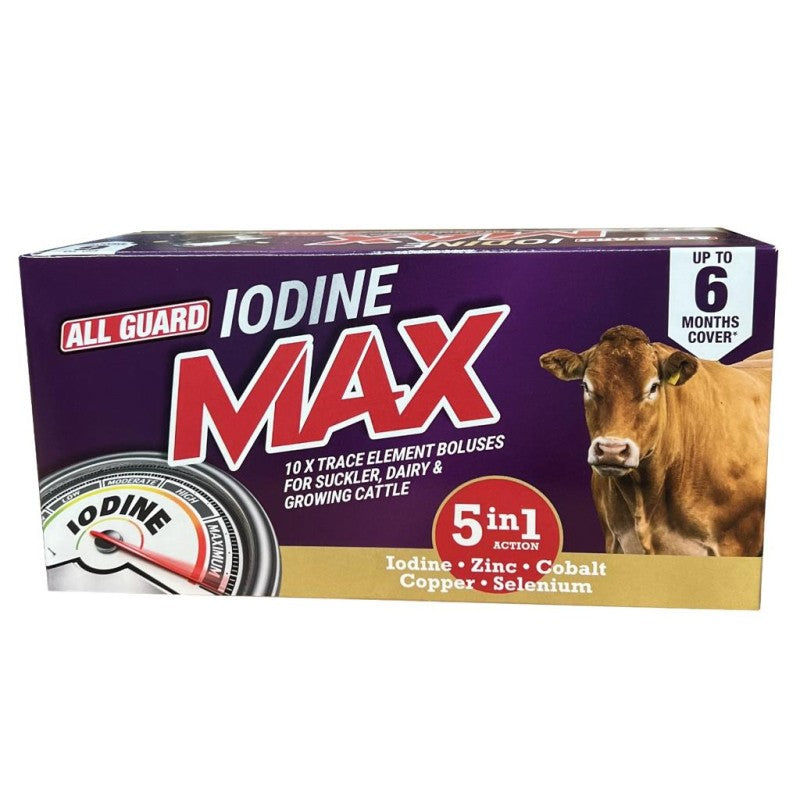 All Guard Iodine Max 5 in 1 Bolus