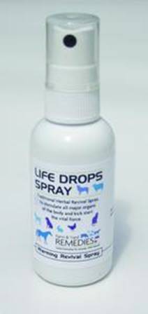 Life Drops Spray