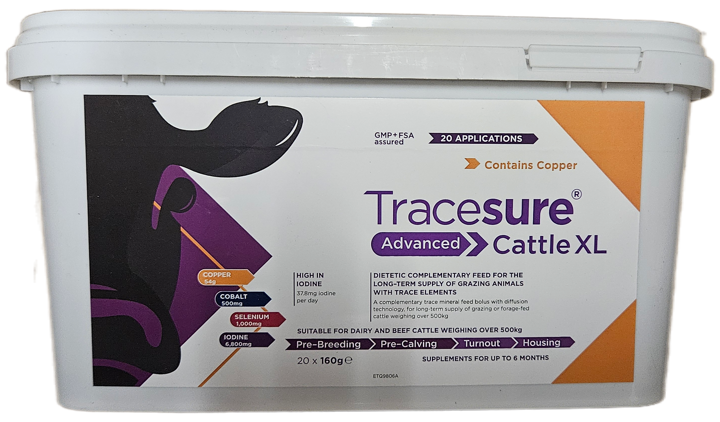 Tracesure Advanced Cattle XL