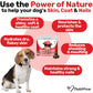 NutriPaw Skin & Coat Omeage Treats (120 Pack)
