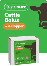 Tracesure Cattle with Copper