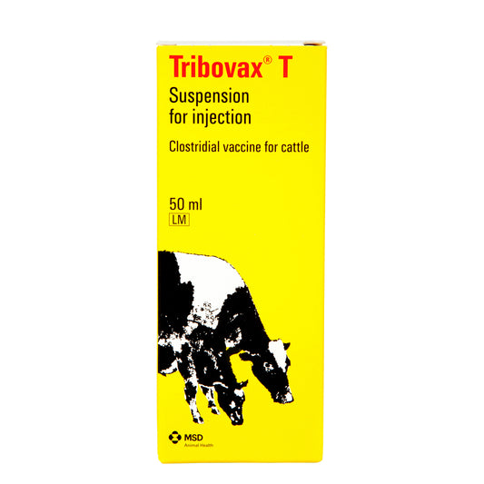 Tribovax T Injection