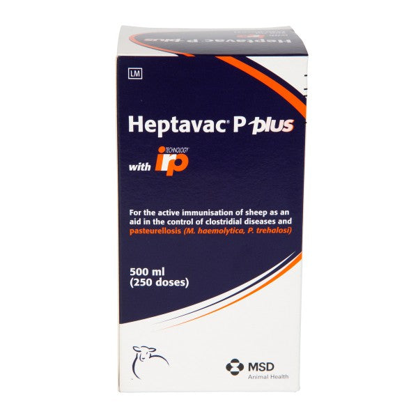 Heptavac P Plus – Quinn's Chemist