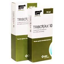 Tribovax 10 suspension for injection